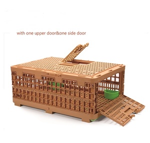 Plastic Pigeon Transport Box