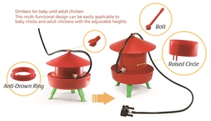 Automatic Drinker for Chicks until Adult Chicken