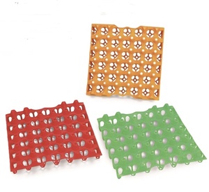 Plastic Egg Tray