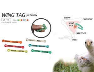 Wing Tag for Poultry