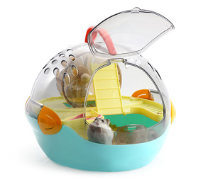 Oval Spaceship Hamster Cage